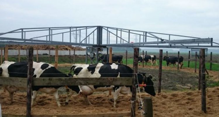 Dairy Cow Exercise For A Longer, Cattle Farm Equipment List