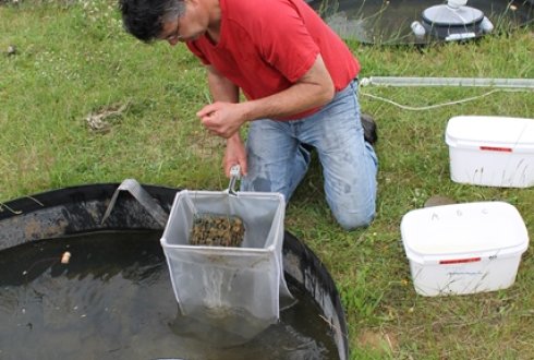 sampling_macroinvertebrates_490x330.jpg