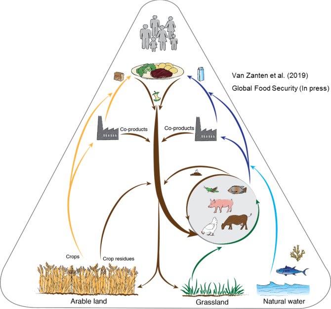 Circular food system (image by Kuwona)