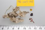 Stomach content of adult Northern Fulmar FAE-2015-015: 3 plastic particles, weighing 0.0558 gram (+ 0.18g paper debris)  