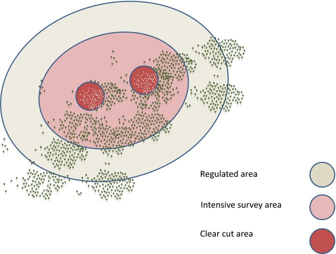 Zoning strategy of Pine Wood Nematode