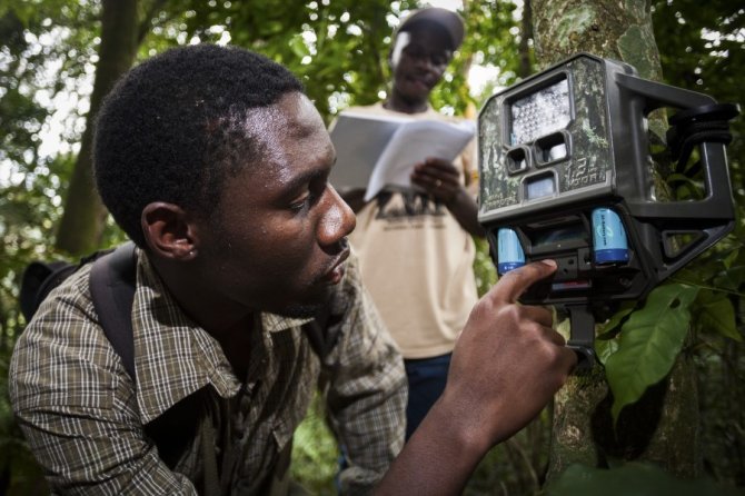 Installing cameratraps, photo by Benjamin Drummond and Sara Joy Steele 