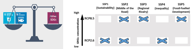 Figure 1: Conceptual framework of the model application to China for global change impacts. SSP is shared Socio-Economic Pathways (Wang et al., 2020). SDG is sustainable development goal (Wang et al., 2022)