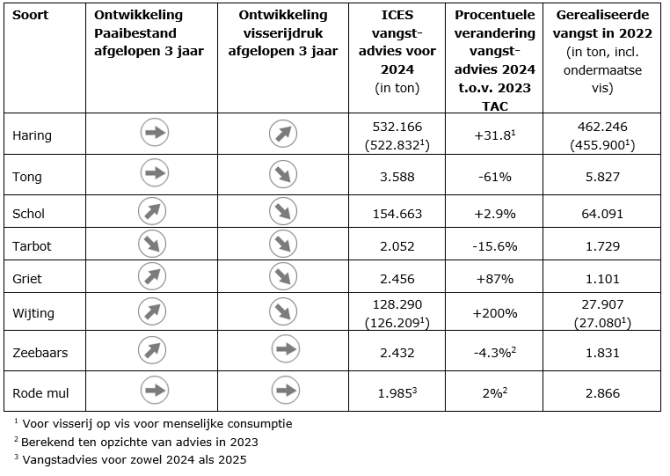 Tabel: Ontwikkelingen paaibestanden en visserijdruk, en ICES-advies voor 2024 (in tonnen) voor vissoorten die belangrijk zijn voor de Nederlandse visserij.