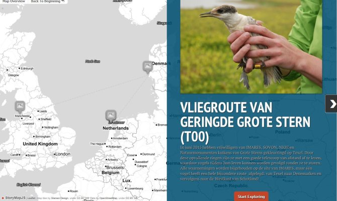 Eén Grote Stern (T00) heeft een hele bijzondere route afgelegd: van Texel naar Denemarken en vervolgens naar de Westkust van Schotland! Klik op de kaart voor de route.