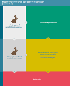 Pasgeboren konijnen (PDF)