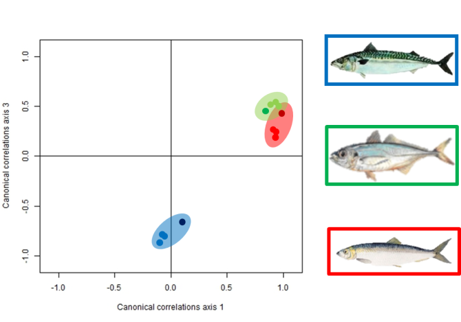 Figure 3. Classification of 3 fish species based on 2 frequency response features of acoustic broadband data.