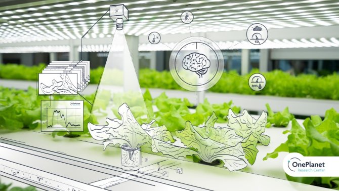 Autonomous Greenhouse 
