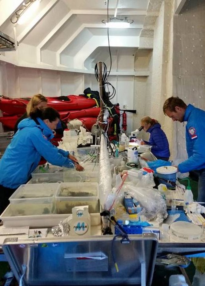 Onderzoekers aan het werk in het geïmproviseerde laboratorium (Foto: Hans Verdaat).