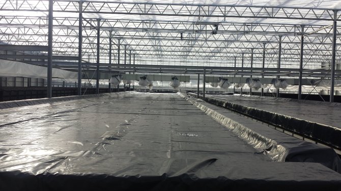 The greenhouse contains large basins with water that are used to harvest heat.