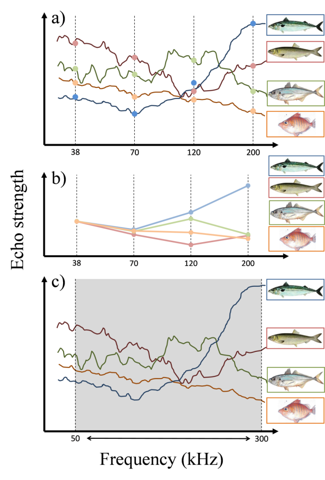 Figure 2. Schematic description of frequency-specific identification properties of different fish species. a) Echo strength of the fish species (solid lines) and measurements taken at four distinct frequencies (filled circles) (mackerel: blue; herring: red; horse mackerel: green; boarfish: orange). b) Multi-frequency echo characteristics of the species used for identification algorithms. c) Broadband technique covering a wide frequency band (e.g. 50-300 kHz) and measuring ehco strengths of the species at essentially 250 individual frequencies.