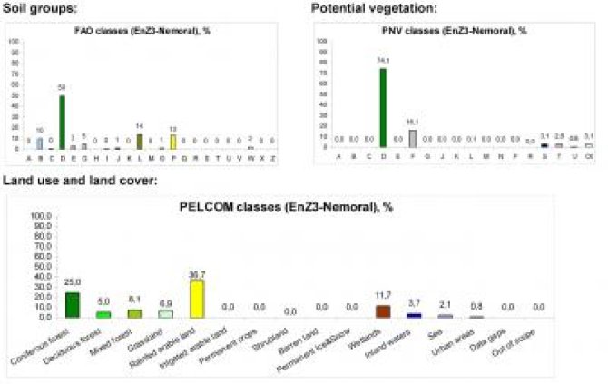 Nemoral soil/vegetation