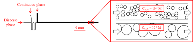 Figure 2; Layout of the microfluidic coalescence channel [5].