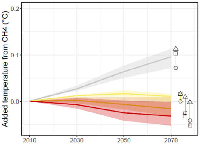 De bijdrage van methaanemissies uit de landbouw aan de totale temperatuurstijging daalt tot onder het huidige niveau bij een streng mitigatiebeleid (CP500: CO2 prijs van 500 US Dollar, LT: lange termijn, ST: korte termijn. CAPRI, GLOBIOM & MAGNET zijn de gebruikte modellen)