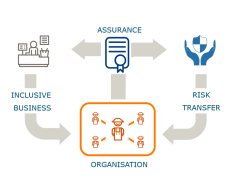 Figure 1: Key components of area-based aquaculture governance