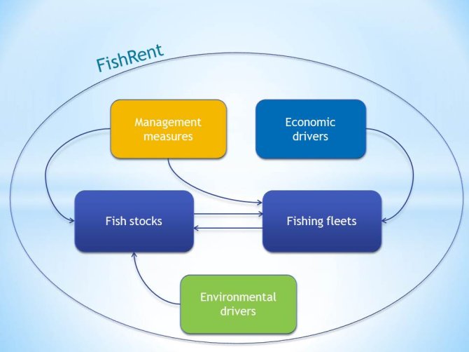 FishRent model