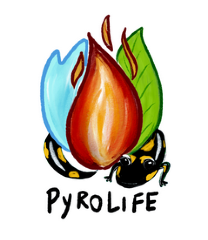 Pyrolife_Logo_239x276.png