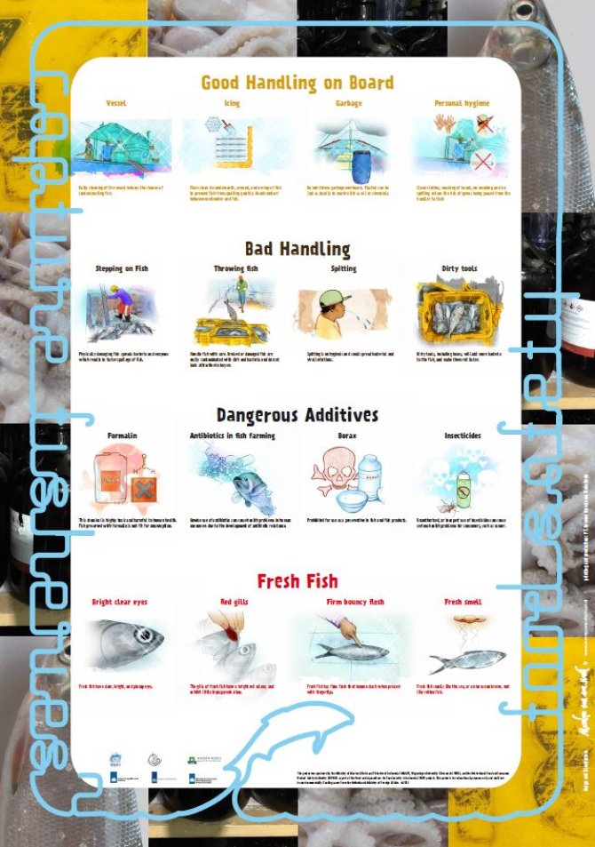 Poster Capture Fisheries FAFI