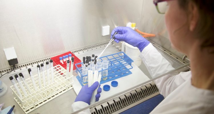laboratoriumfaciliteiten wageningen bioveterinary research CRO
