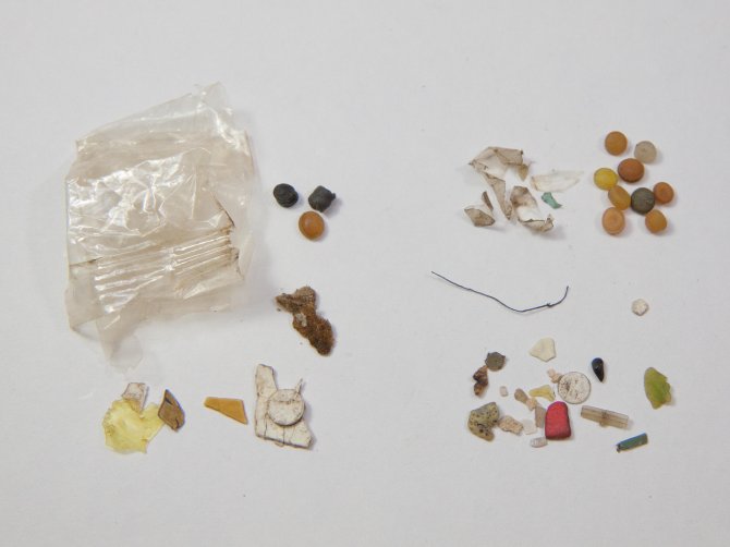 Example of plastics ingested by a fulmar. Sample NMD-2010-001 with plastics from proventricular stomach contents on left, and gizzard contents on the right. Preproduction plastic pellets for each subsample on top right are 4 to 5 mm in diameter.