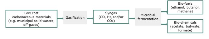 Figure. A promising process chain for the conversion of recalcitrant wastes to products, combining gasification and syngas fermentation.