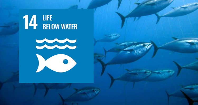 Life below water, WUR Sustainable development goal