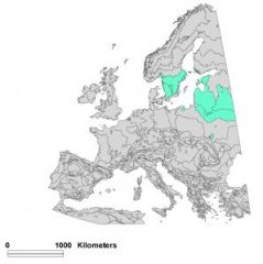 Nemoral map