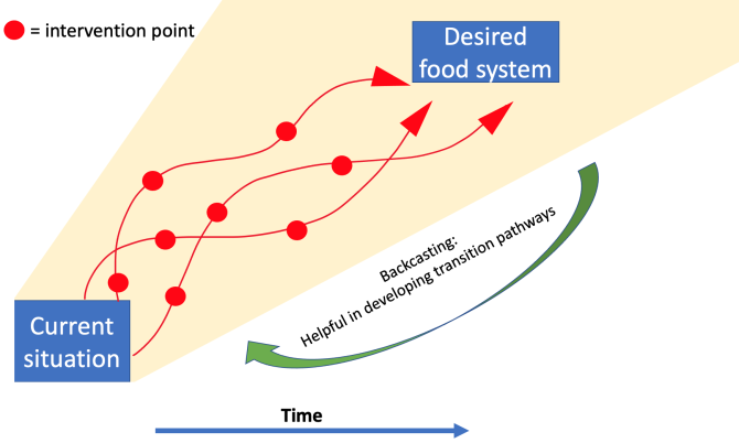 Figure 3: Back casting is helpful for developing transition pathways towards desired food systems. 