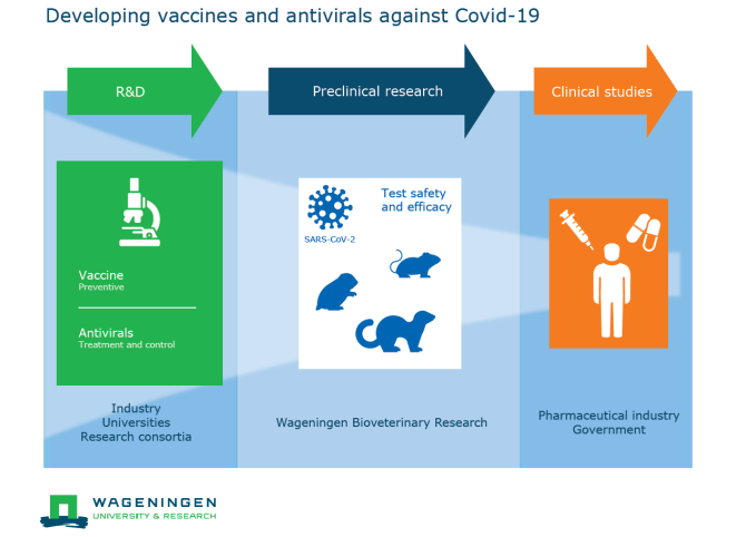 Coronavirus and COVID-19 - Developing vaccines and antivirals
