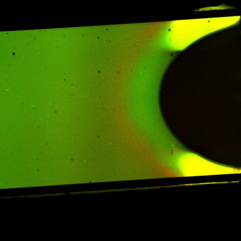 Stratification in a drying particle suspension inside a capillary. The green fluorescence comes from small particles ~ 400 nm and the red particles from bigger particles ~ 1000 nm. Clearly two different colors thus two different layers of particles can been seen.