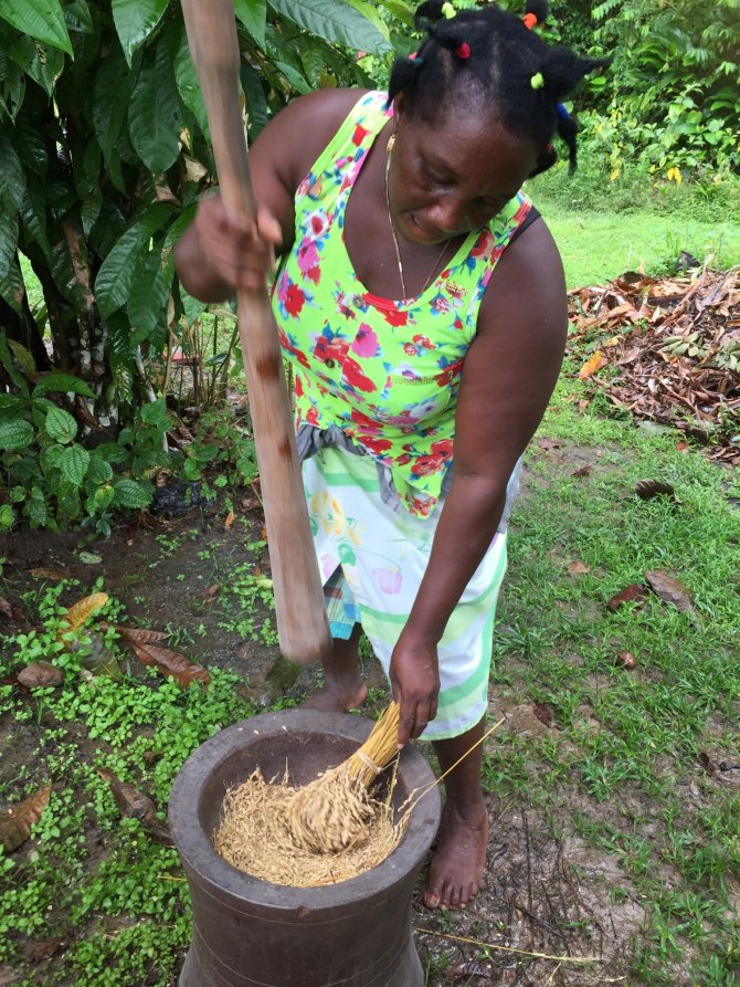 A Marron woman threshes her rice
