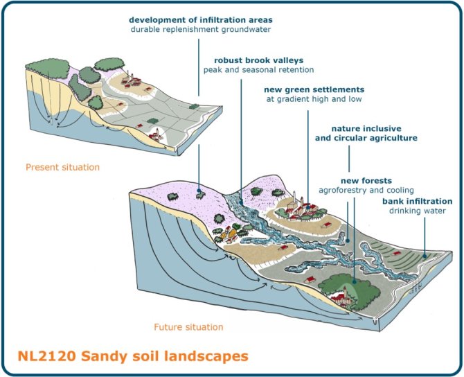 In nature-based landscapes, the groundwater level will be restored, with significant impact on the different functions of the location - illustration: report 'A nature-based future for the Netherlands in 2120'