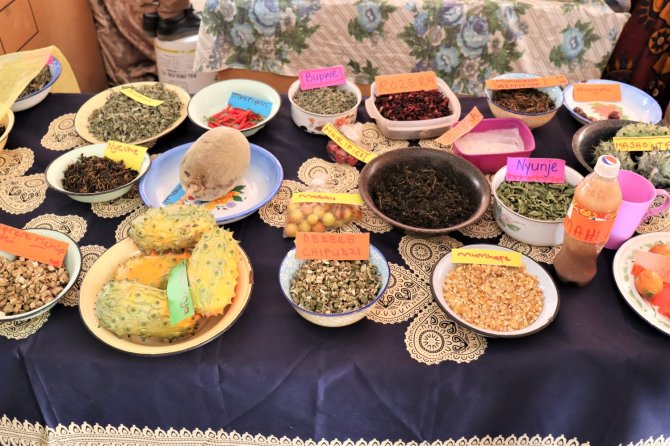 Crop diversity on display at a workshop in Zimbabwe (foto: Ronnie Vernooy, Alliance Bioversity & CIAT)
