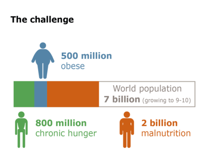 Infographic: Nutritious and safe food for all