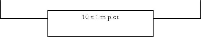 Placement of the L plot in a hedge (HEG), species rich hedge (SRH), line of trees (LTR) or line of scrub (LSC) 