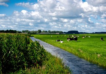 Landelijk Meetnet effecten Mestbeleid