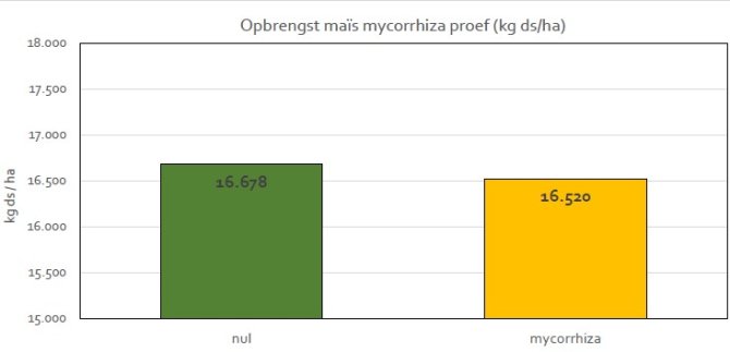 Afbeelding 5 maart 2023.jpg