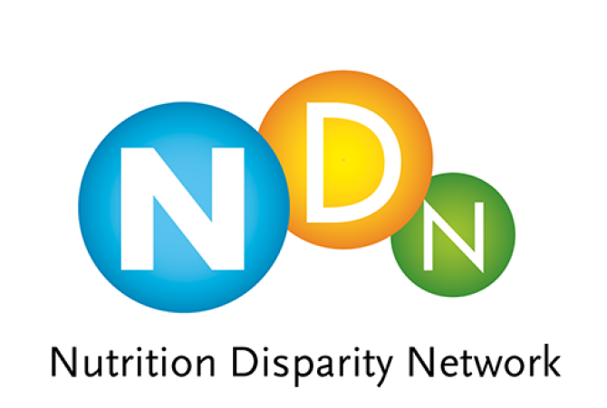 NDN logo 490x330.png