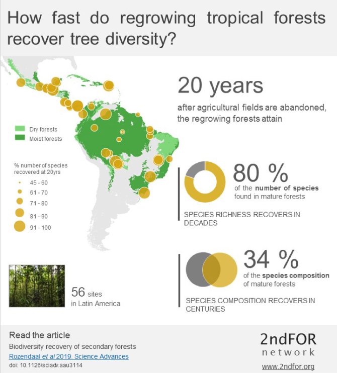 <L CODE="C05">Infographic Biodiversity recovery of secondary forests</L>