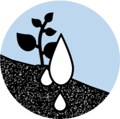 Soil-water interactions icon by Wietse Wiersma