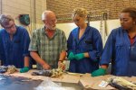 Jan van Franeker (in shirt met korte mouwen) legt aan de deelnemers uit hoe een Noordse Stormvogel te ontleden. In de blauwe laboratorium jassen, v.l.n.r. Jetse, Susanne, en Roxanne.