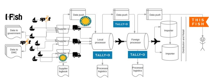 Figure 1: A systems map of the IFITT model for seafood traceability