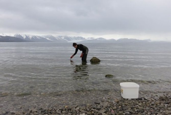 Sampling in the Arctic region. Photo: Dr. M. van den Heuvel-Greve.