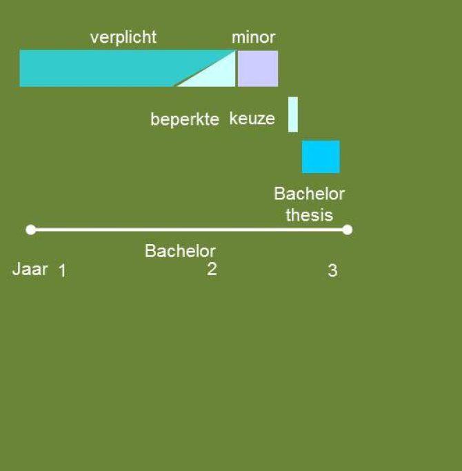 Opbouw van de studie