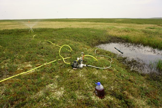 Met een motorpomp en sproeiers simuleerden onderzoekers van de Plantenecologie & Natuurbeheer groep het effect van extreme zomerbuien op het Siberische toendra-ecosysteem. Foto: Rúna Magnússon 