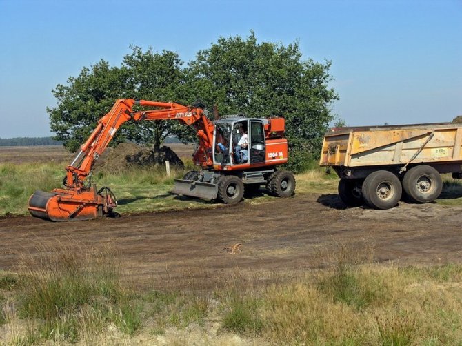 Natuurbeheer in Westerveld (Drenthe). Foto: Hans Dekker.