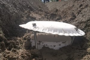 Insect trap to measure insect biodiversity in conventional and organic potato crops. Photo: Paula Harkes