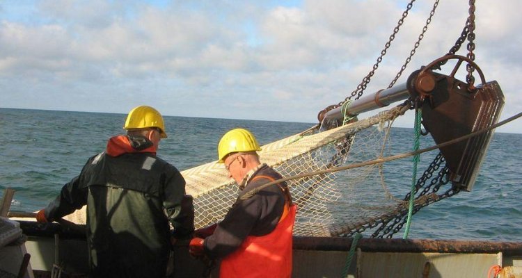 Beam Trawl Survey (BTS)