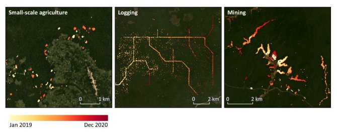 Different types of forest disturbance in the Congo Basin detected in high spatiotemporal detail with Sentinel-1 radar data.
