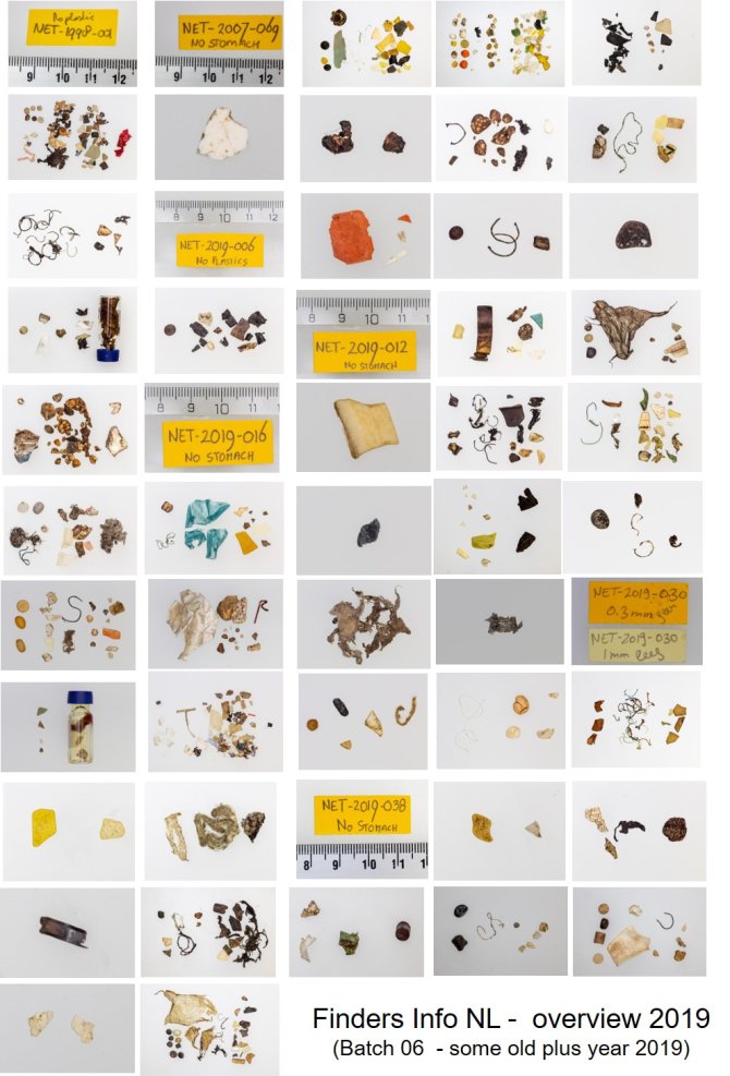 Summary view of stomach contents described int the Finders Report 2019 